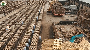 Racing to America to Reveal the Truth Behind the Giant Pallet-Recycling Plants???