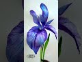 Watercolor iris tutorial