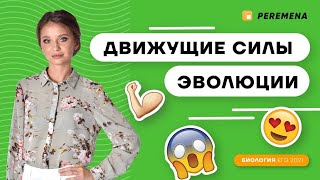 Движущие силы эволюции | ЕГЭ БИОЛОГИЯ 2021 | PEREMENA