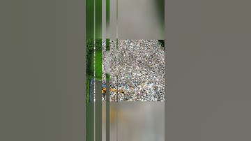 Dừng hoạt động nhà máy xử lý rác do vi phạm môi trường