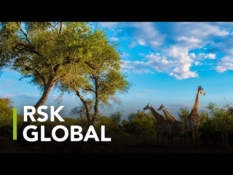 RSK in Africa