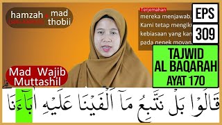 MENGURAI TAJWID SURAH AL BAQARAH AYAT 170 ARTINYA, CARA BACA & CONTOH PENGUCAPANNYA - EPS 309