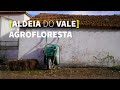 Aldeia do Vale Proyecto Agroecológico [AGROFLORESTA]