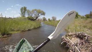 Kayaking Big Dry Creek 2024 Wealth