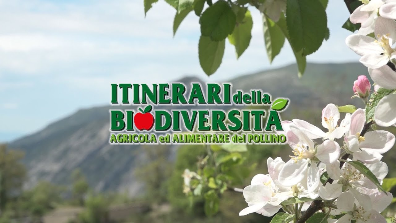 Parco Nazionale del Pollino Itinerari della Biodiversit del Pollino