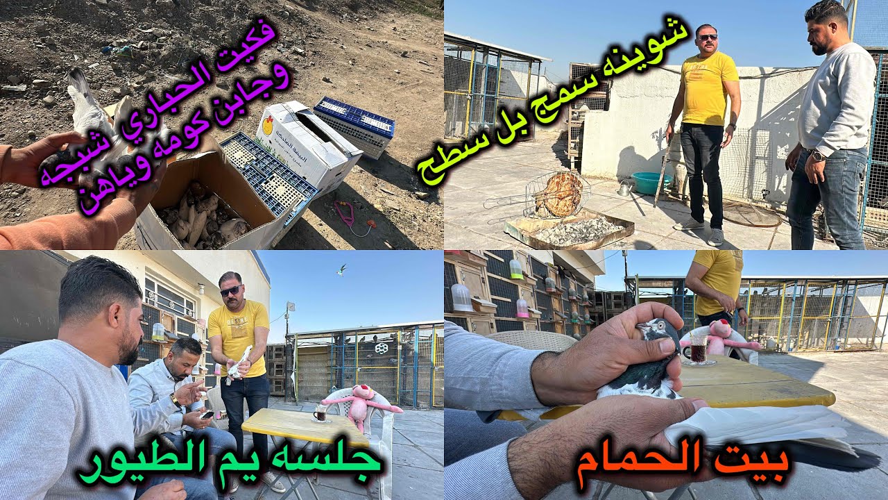 الفكه اليوم شبجه😱شوينه سمج بل سطح❤️الطيور جابت وياهن كومه😍😍😍😍😍