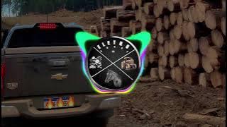 Olhares Imprecisos - Léo & Raphael(feat. Luan Pereira) COM GRAVE