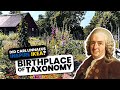 The Legacy of Carl Linnaeus and Life in Småland Sweden
