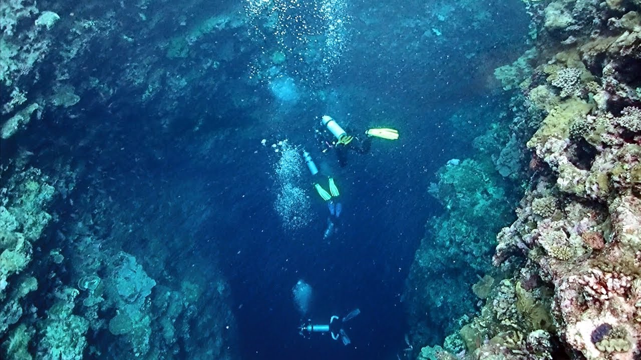 Scuba Diving The Blue Holes Palau Youtube