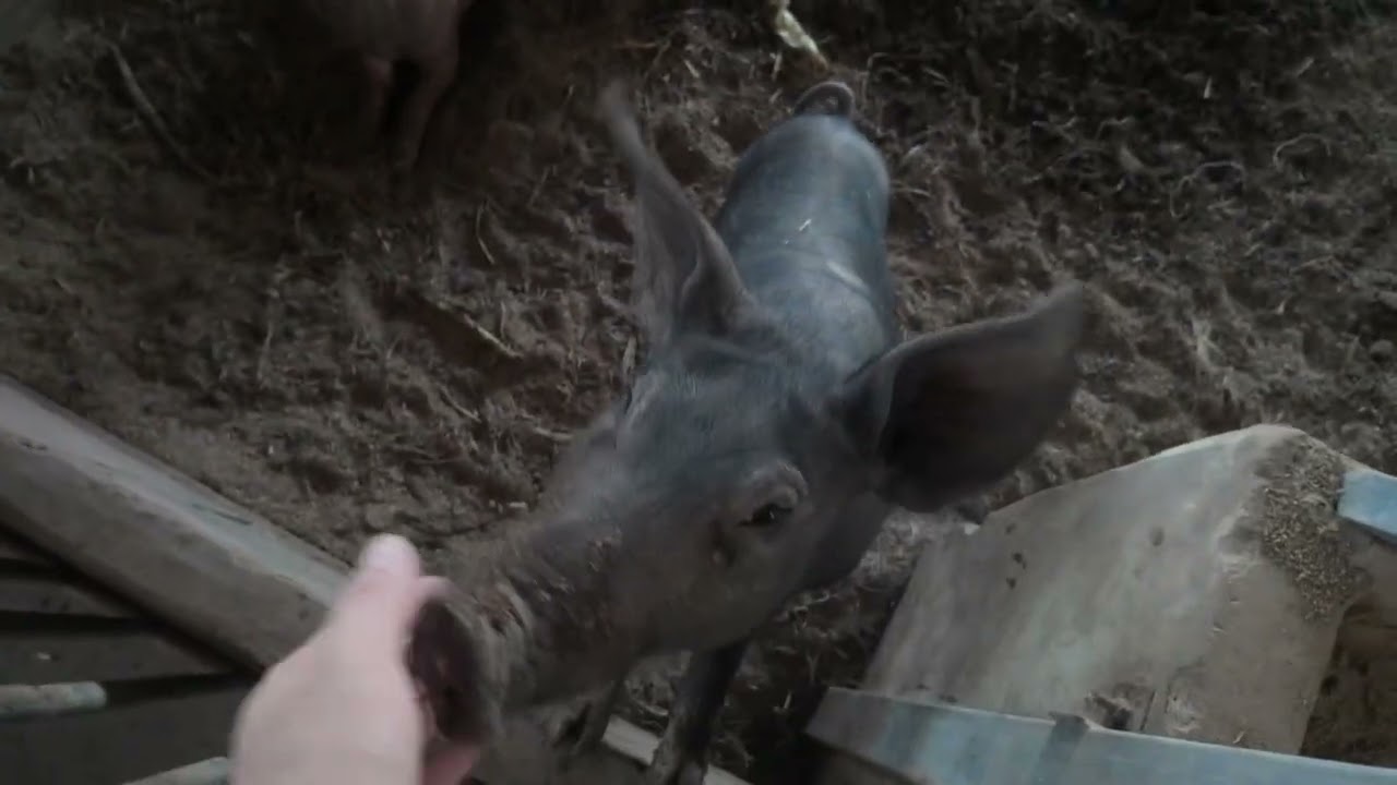 TNF Update อื่นๆต้นปี 2026