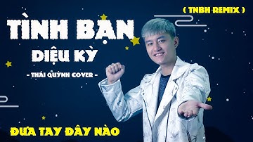 Tình Bạn Diệu Kỳ | TNBH REMIX | Amee ,RickyStar,Lăng LD | Đưa tay đây nào|Thái Quỳnh Cover | TikTok