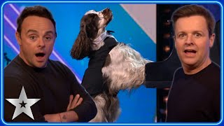 A DOG PLAYING PIANO! Olga & Bonnie make a TRIUMPHANT return | Auditions | BGT 2023