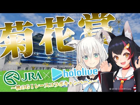 video thumb