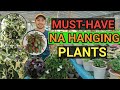 MUST-HAVE HANGING PLANTS