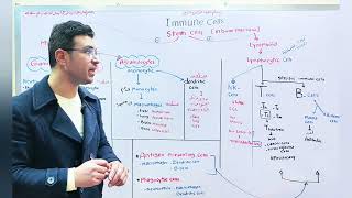 2- المحاضرة التانية Types of immune cells انواع الخلايا المناعية - د.اسامه معروف