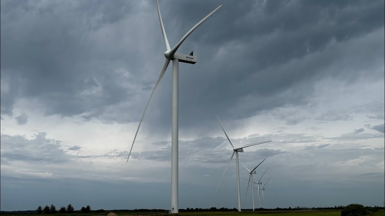 5xV-162 Enventus in Dänemark