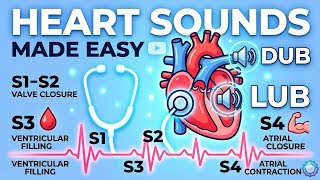Basics of Heart Sound | S1 S2 S3 S4 | Ejection click, Opening snap