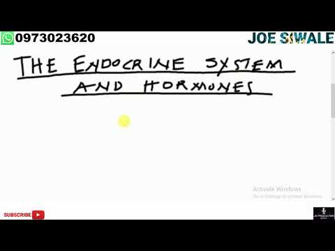 Endocrine system and hormones. Full topic part one - YouTube