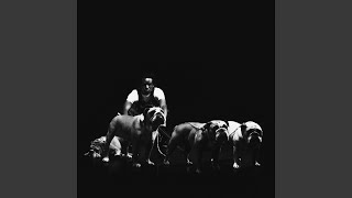 4BULLDOG - Jolagreen23