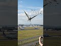 This Flying Dinosaur Protects the Airport #ai #aidinosaur #aicreature #vfx #cinematic #Dinosaurs