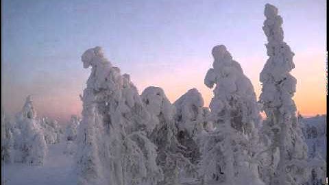 Sibelius - String Quartet 