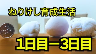 【ねりけし育成生活】１－３日目 ～小学生必見！モチモチねりけしの作り方も紹介！