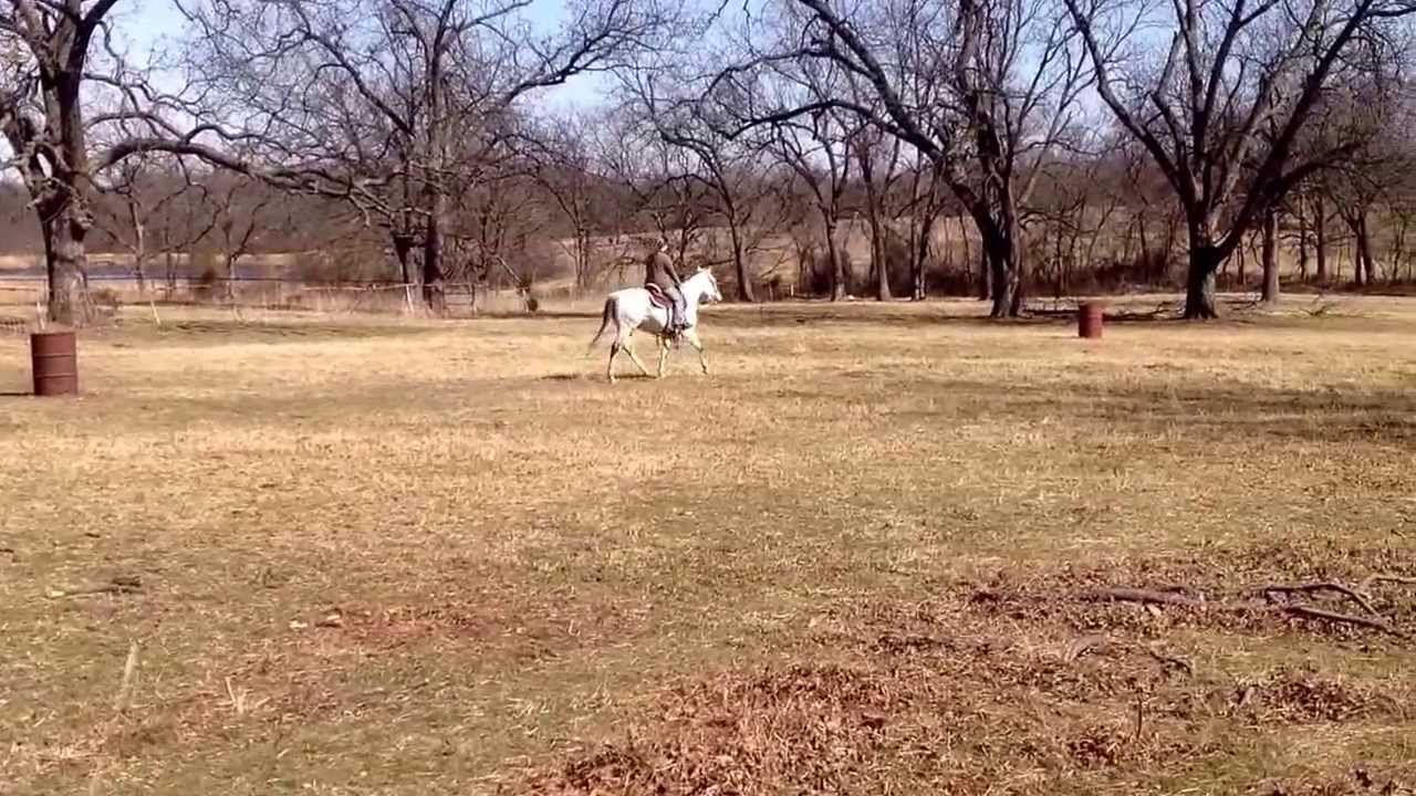 Willow ottb for sale. 4 th time seeing barrels YouTube