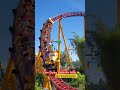 Slinky Dog Dash at Walt Disney World #shorts #disneyworld #fun #dog #fyp #rollercoaster