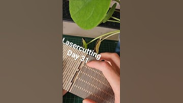 Lasercutting every day for 100 days_031  #lasercutting #ideas #flowerpot #flexiblejoint