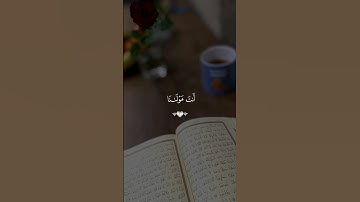 سورة البقرة القارئ سعد الغامدي 💙