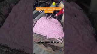 قريش أبؤجهل في ألطريق ألظالم ألتقئ بألمظلؤم قال ذكرتني بعظيم #بدر_المشاري#shorts #اكسبلور#بودكاست