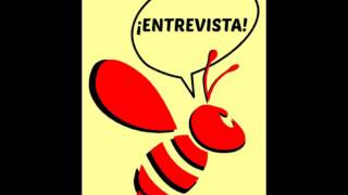 Entrevista a Zully Ardiles de CISADEMS - Santiago del Estero