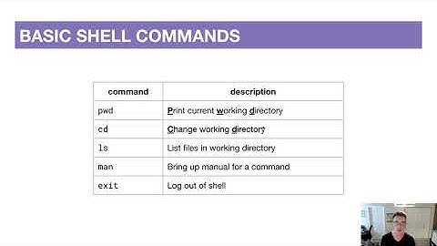 CSE 391 20au - Lesson 1, Video 2: Introduction to Linux