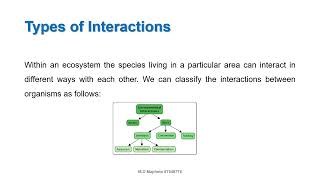 Interactions and Interdependence within the Environment