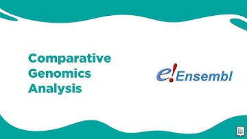 Bioinformatics: Comparative Genomics Analysis | BioCode Ltd