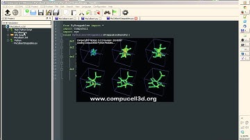 Generating CC3D simulations using Twedit++