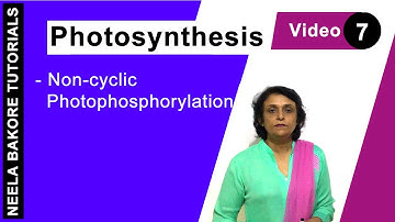 Photosynthesis | NEET | Non cyclic Photophosphorylation | Neela Bakore Tutorials