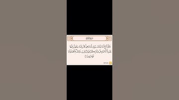 سورة البقرة الآية ٦٧-٦٩ القارئ بندر بليلة