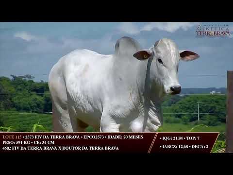 LOTE 115   EPCO 2573