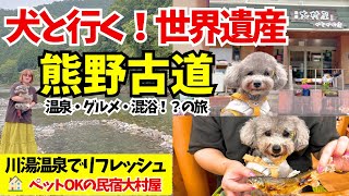 愛犬と瀞峡川遊びするなら熊野 川湯温泉に決定！川を掘って温泉に入る💦【民宿大村屋】和歌山県田辺市　【熊野本宮大社】【熊野古道】【大斎原】【世界遺産】【ペットと泊まれる宿】【道の駅】