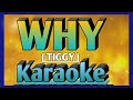 WHY - TIGGY Karaoke #karaoke #karaokesong #disco #discoremix2024 #ingkoypalaboykaraoke Mp3 Song