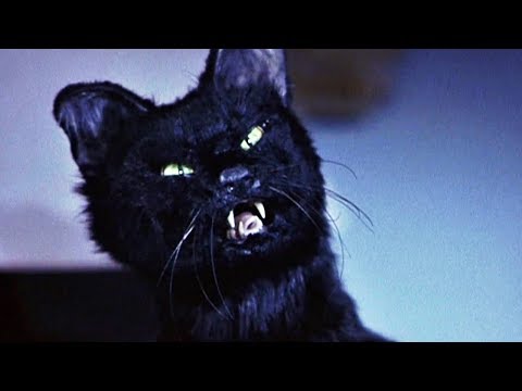 Синди Кэмпбелл Против Кота | Очень Страшное Кино 2 | 2001