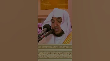 (لقد جاءكم رسول من أنفسكم) القارئ| عبد البديع محمد غيلان | تلاوة جميلة