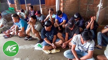 Bắt quả tang tụ điểm đá gà ăn tiền, tạm giữ gần 300 triệu đồng | THKG