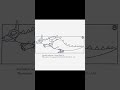Animation References - demon ride (A) #Shorts
