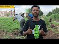 We Asked One Question About Tree Planting… Listen to This| Beba Pulse TV”