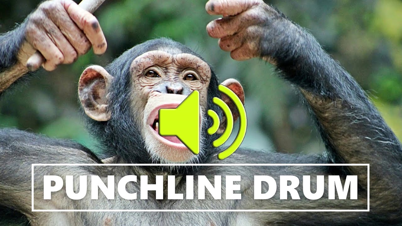 Punchline drum sound effects (free download link) YouTube