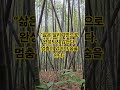 #휴식 #힐링 #명상 #마음치유 #쉼의시간 #휴식명언 #마음힐링 #자기돌봄 #감성글귀 #삶의여유 #하루한문장 #힐링영상 #지혜의숨길 #편안한하루 #내마음의쉼표
