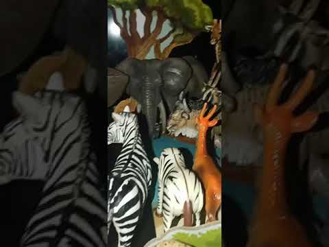 African Safari Animal Collection 