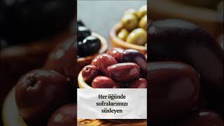 Örnek Çalışmalar - Akyol Medya Ve Tasarım Itım Im